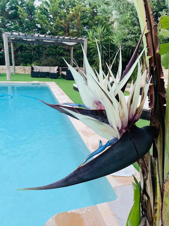 Can Mossenyer San Antonio  Exterior foto